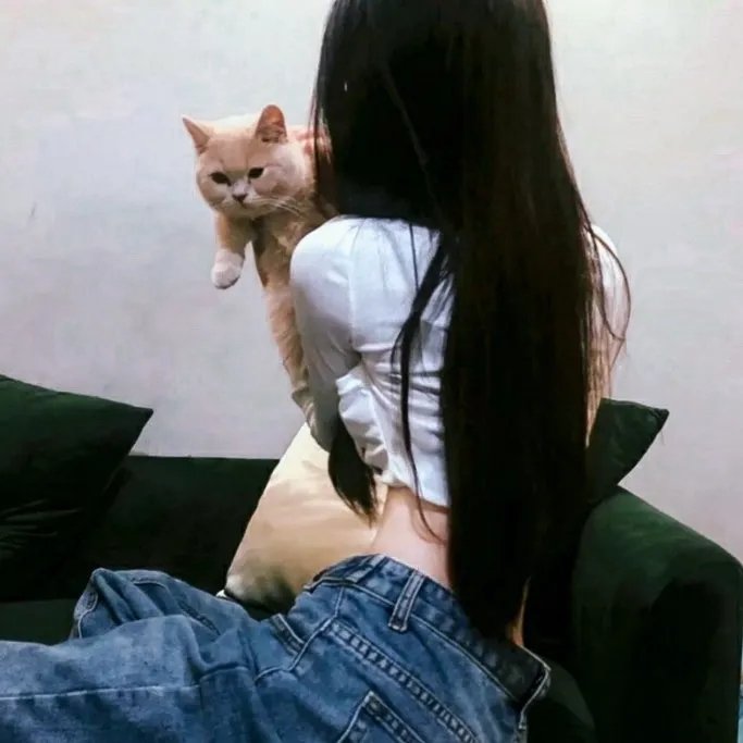 公猫